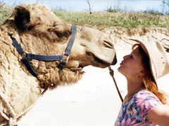 Camel safari2