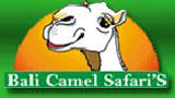 Bali camel safari