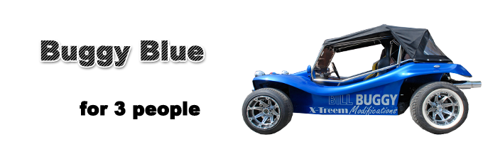 Buggy / Blue