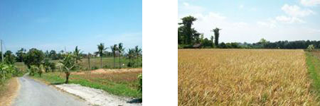 Land for sale in Canggu　LS-004