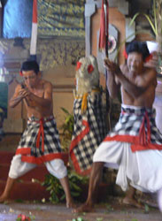 Bali dance Catur Eka Budhi8