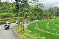 Through a beautiful scenery of rice terrace