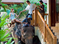 Ride on elephant at Lodge
