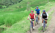 Batur Cycling