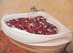 Rose Flower Bath