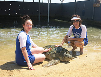 Visiting turtle center