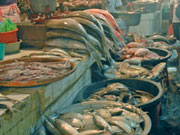 Pasar Ikan