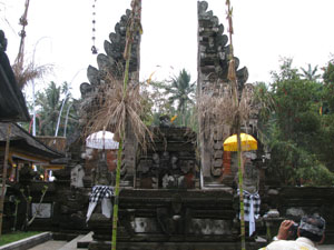 Bali sightseeing Tirta Empul9