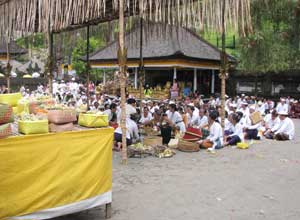 Bali sightseeing Tirta Empul8