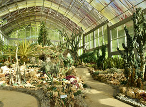 Botanical Garden 7