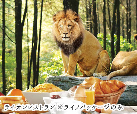 ライノパッケージに含まれるライオンレストラン
