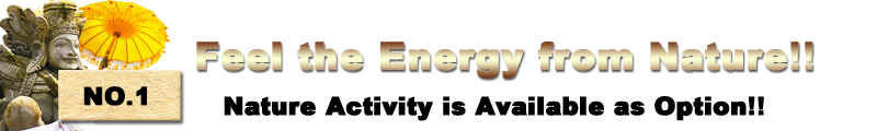 energy from nature