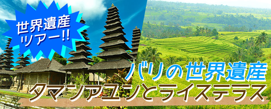 バリ島 バリの世界遺産 タマンアユンとライステラスツアー