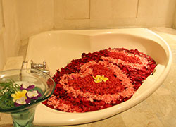 Bath Tub (one in 2 villas)