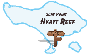 Hyatt Reef