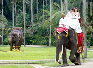 Bali WeddingPW-08