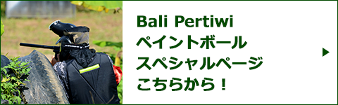 Bali Pertiwi ペイントボールスペシャルページバナー