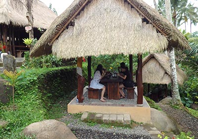 Uma Pakel Bali Swing6