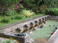 地元の温泉