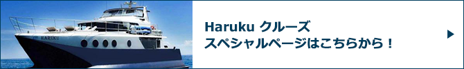 Haruku クルーズスペシャルページバナー