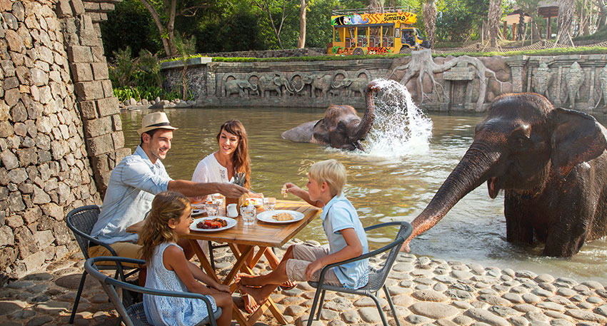 バリ動物園（バリズー） 象の水浴びプール前の特設会場