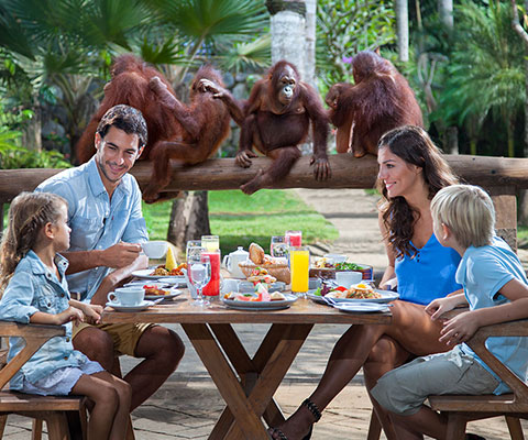 バリ動物園（バリズー） 子供オランウータンと朝食