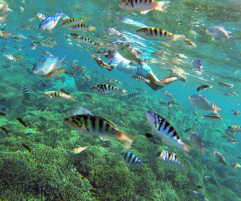 レンボンガン島の海は透明度が高く人気のシュノーケリングスポットです