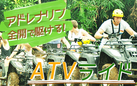 バリ島 Pertiwi Quad Adventure ATVライド